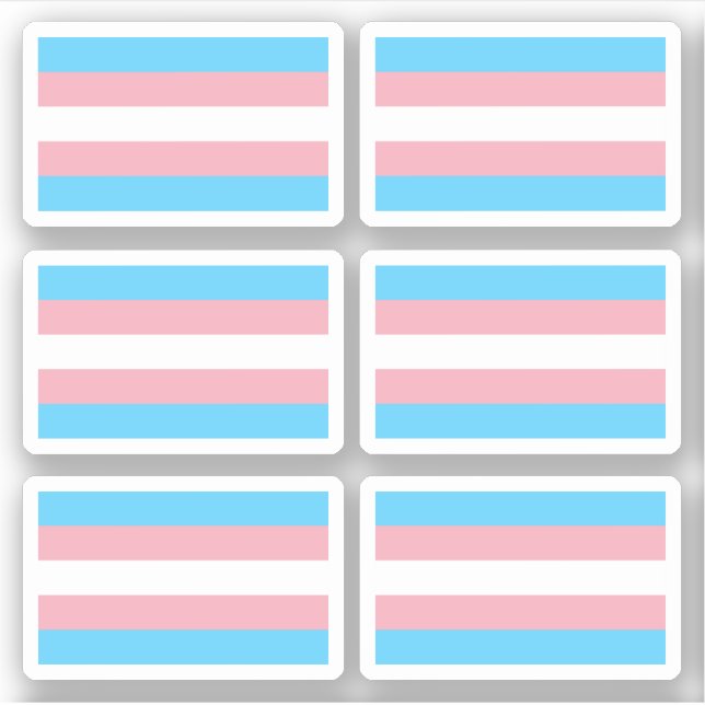Sticker Drapeau Transgender Pride (Devant)