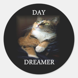 Sticker Dreamer Day