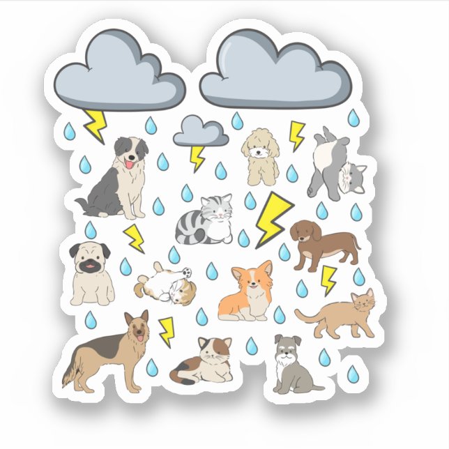 Sticker Drôle expression anglaise Il pleut des chats et de (Devant)