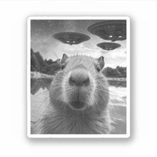 Sticker Drôle Selfie de Capybara Graphique avec des OVNI É