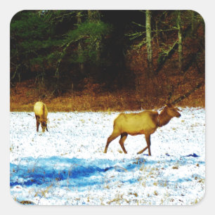 STICKER DSC00131.JPG