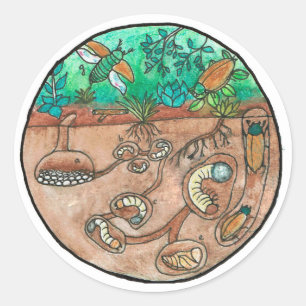 Sticker du cycle de vie du scarabée