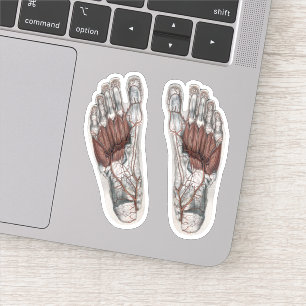 Sticker Empreinte de podologie d'anatomie humaine vintage