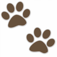 Empreintes de pattes Brown