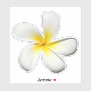 Sticker en fleurs de Frangipani
