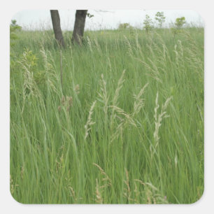 Sticker en herbe d'été par H.A.S. Arts