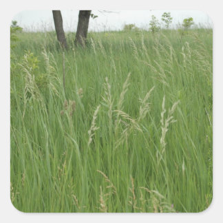 Sticker en herbe d'été par H.A.S. Arts