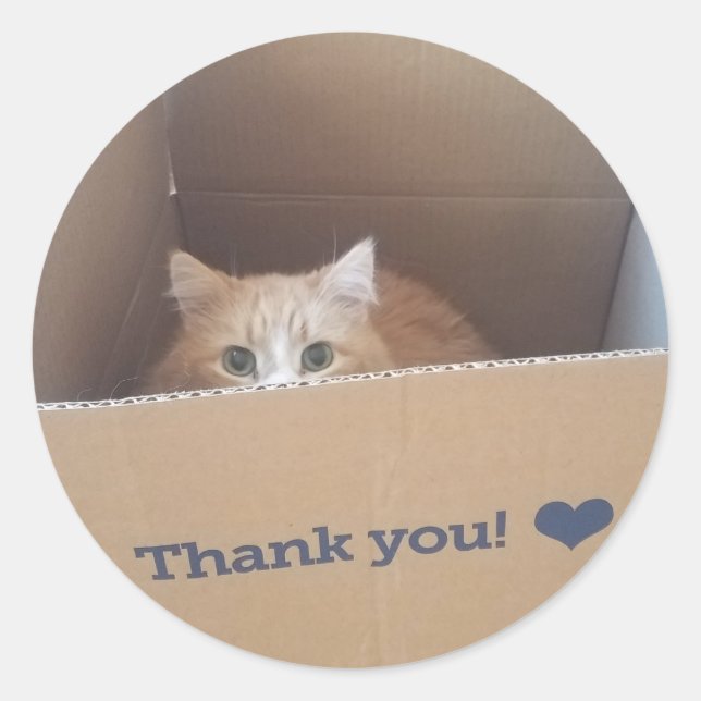 Sticker en Merci de chat Diego (Devant)