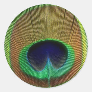 Sticker en plume de paon