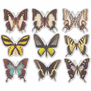 Sticker en vinyle de 14 po Collection papillon jau