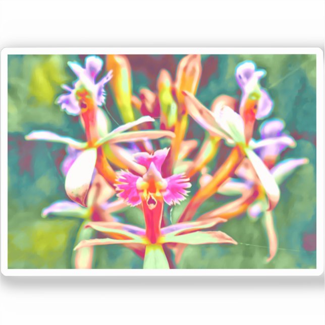 Sticker en vinyle de fleurs péruviennes (Recto)