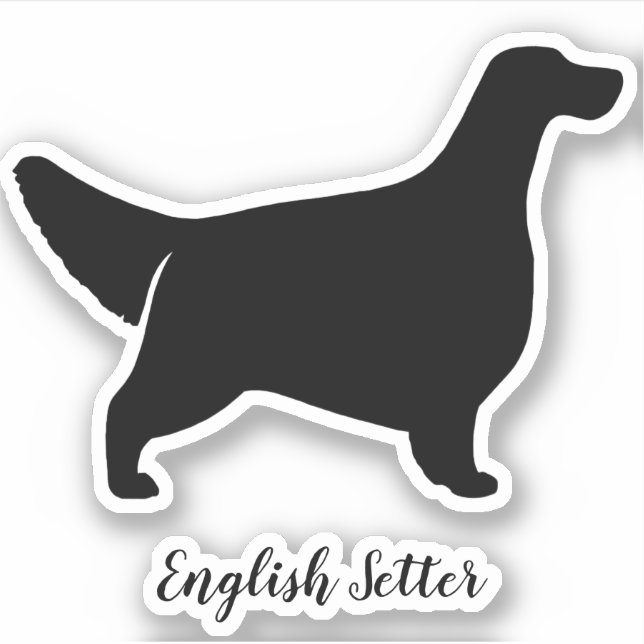 Sticker en vinyle de race de chien de Setter angla (Devant)