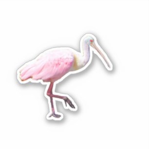 Sticker en vinyle de Spoonbill