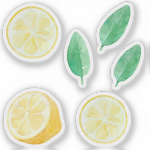 Sticker Ensemble aquarelle rondelles de citrons jaunes de