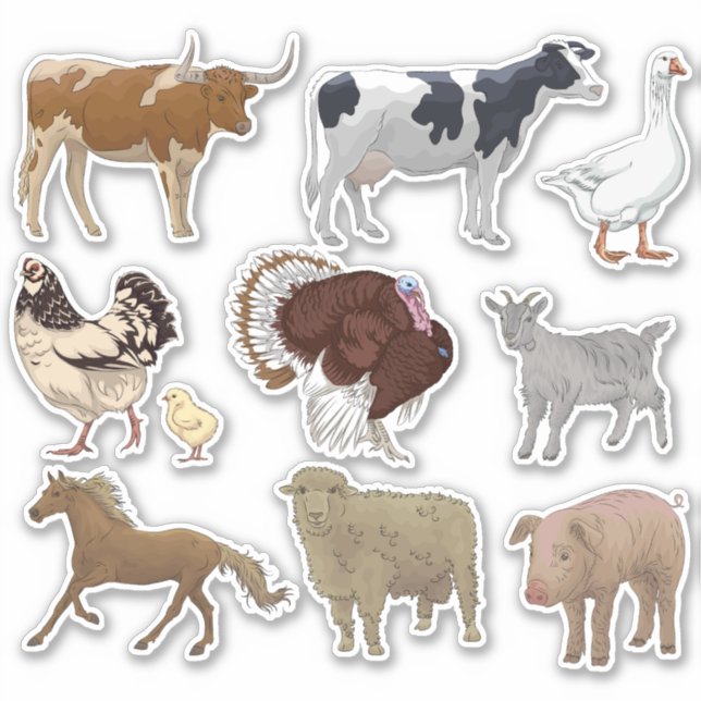Sticker ensemble d'animaux de ferme (Devant)
