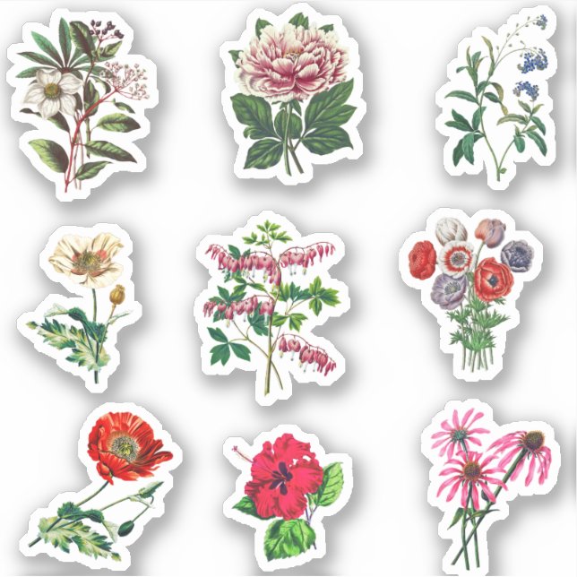 Sticker Ensemble de fleurs botaniques vintage esthétique (Devant)