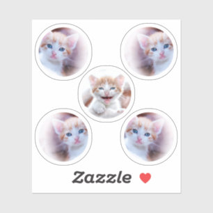 Sticker Ensemble de photos en forme de cinq cercles