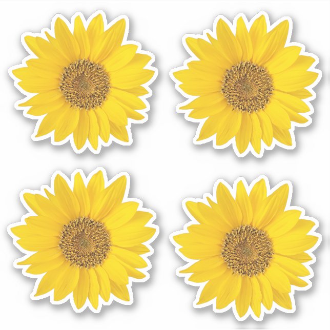 Sticker Ensemble de quatre Tournesols Jaunes Contour (Devant)