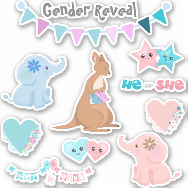 Sticker Ensemble de révélation de genre Bébé Rose Bleu (Devant)