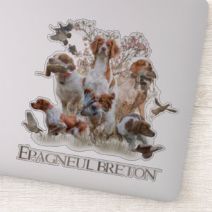 Sticker Epagneul Breton, Bretagne Espagne