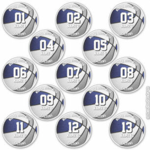 Sticker équipe bleue gris couleurs 13 joueurs de basket no