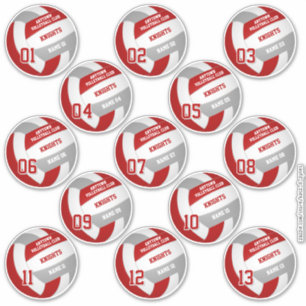 Sticker équipe de volley-ball jeu de 13 gris rouge