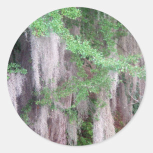 Sticker espagnol Moss