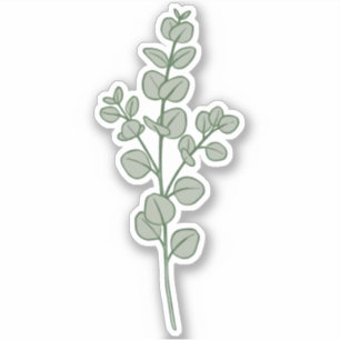 Sticker Ésthétique botanique d'eucalyptus vert sauge luxur
