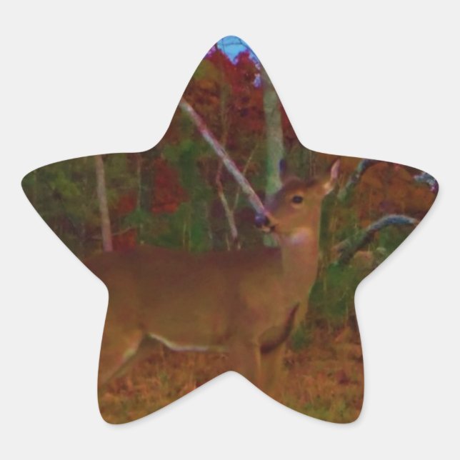 Sticker Étoile A Deer : Gold Red Green et Blue (Devant)