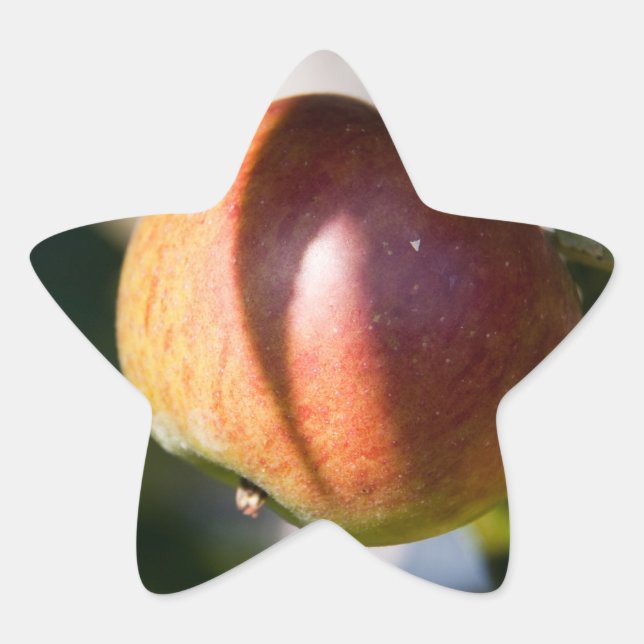 Sticker Étoile Apple (Devant)