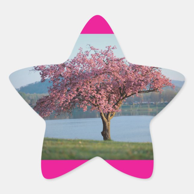 Sticker Étoile arbres en fleurs (Devant)