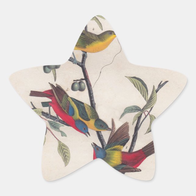Sticker Étoile Audubon Peint Bunting Bird Wildlife (Devant)