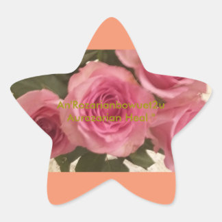 Sticker Étoile Aurozarian Heal "