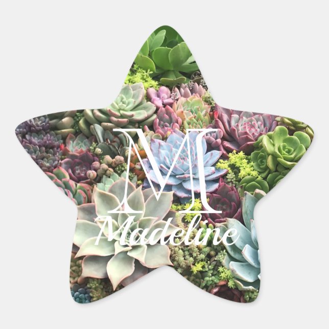 Sticker Étoile Beaux succulents (Devant)