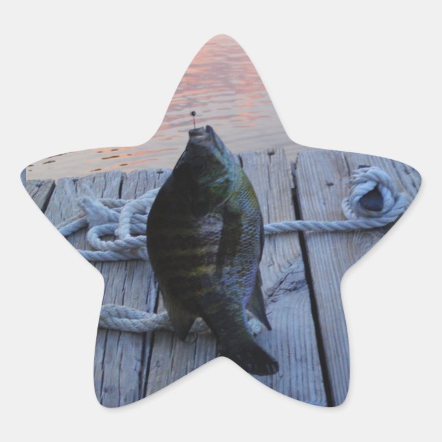Sticker Étoile Bluegill au coucher du soleil Lac Arrowhead (Devant)