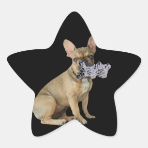 Sticker Étoile Bouledogue français chiot Bulldog