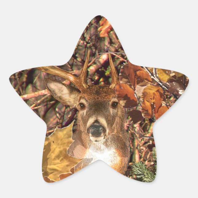 Sticker Étoile Buck in Hunter Camo White Tail Deer (Devant)