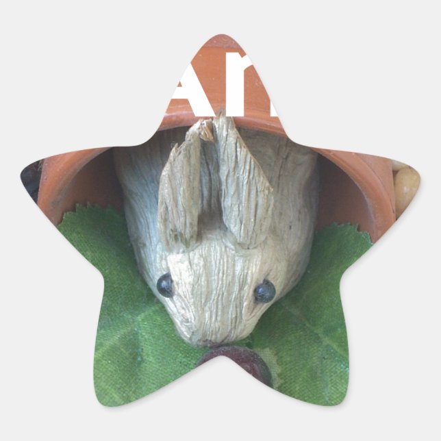 Sticker Étoile Bunny Home Honey Am Home (Devant)