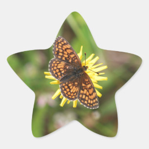 Sticker Étoile Butterfly