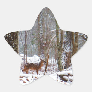 Sticker Étoile Cerf dans la chute de neige