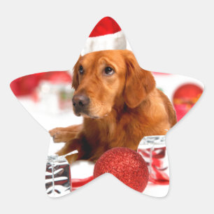 Sticker Étoile Chien Retriever Doré Avec Chapeau De Père Noël Rou