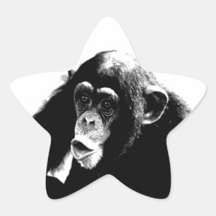 Sticker Étoile Chimpanzé noir blanc