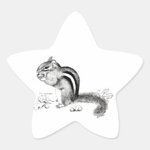 Sticker Étoile Chipmunk