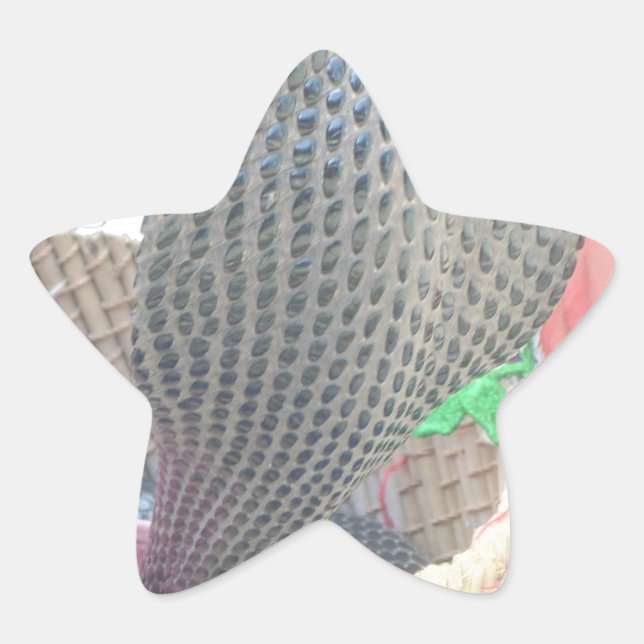 Sticker Étoile Cobra dans le panier Imprimer (Devant)