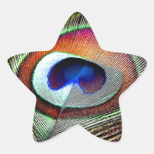 Sticker Étoile Colorful Copper Peacock Feather