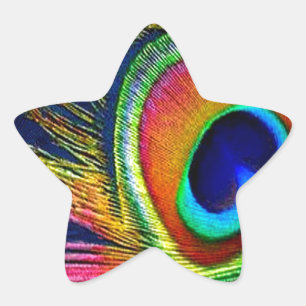 Sticker Étoile Colorful Peacock Feather