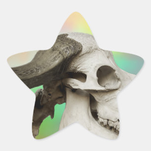 Sticker Étoile Crâne de buffle sur un Arrière - plan d'aquarelle