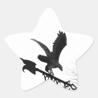 Sticker Étoile Eagle and Arrow