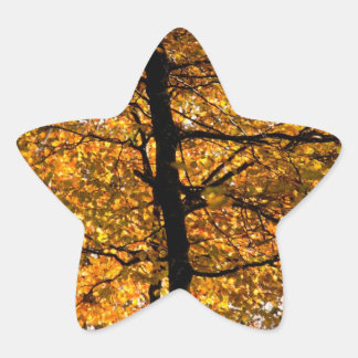 Sticker Étoile Feuillage d'automne