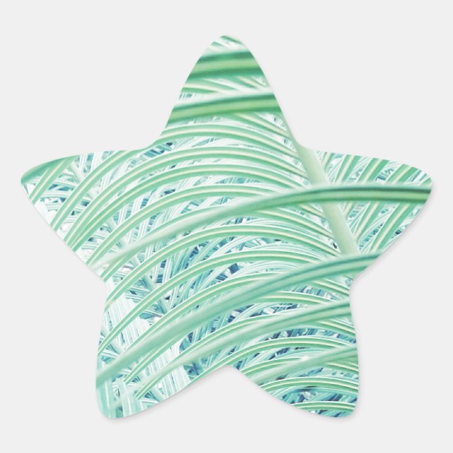 Sticker Étoile Feuille de palmier de plante verte douce (Devant)